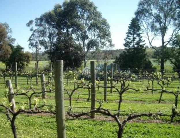 Southern Vales Bed & Breakfast Mclaren Vale Buitenkant foto