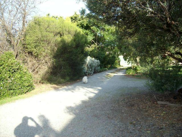 Southern Vales Bed & Breakfast Mclaren Vale Buitenkant foto