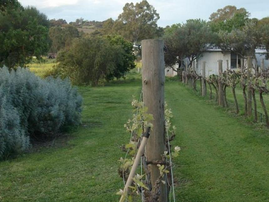 Southern Vales Bed & Breakfast Mclaren Vale Buitenkant foto