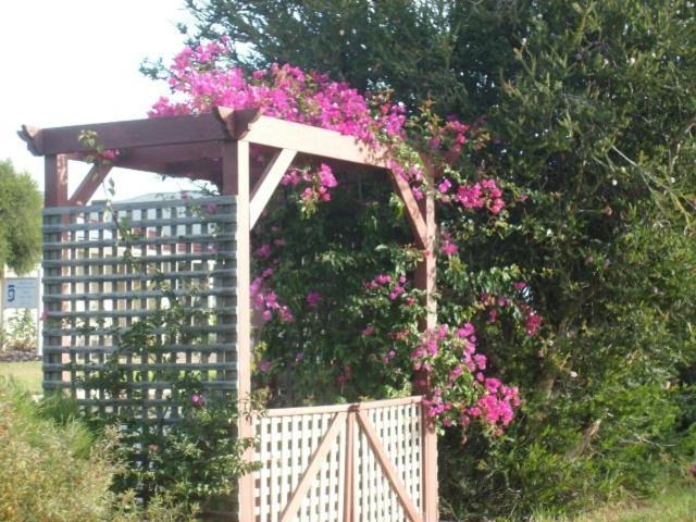 Southern Vales Bed & Breakfast Mclaren Vale Buitenkant foto