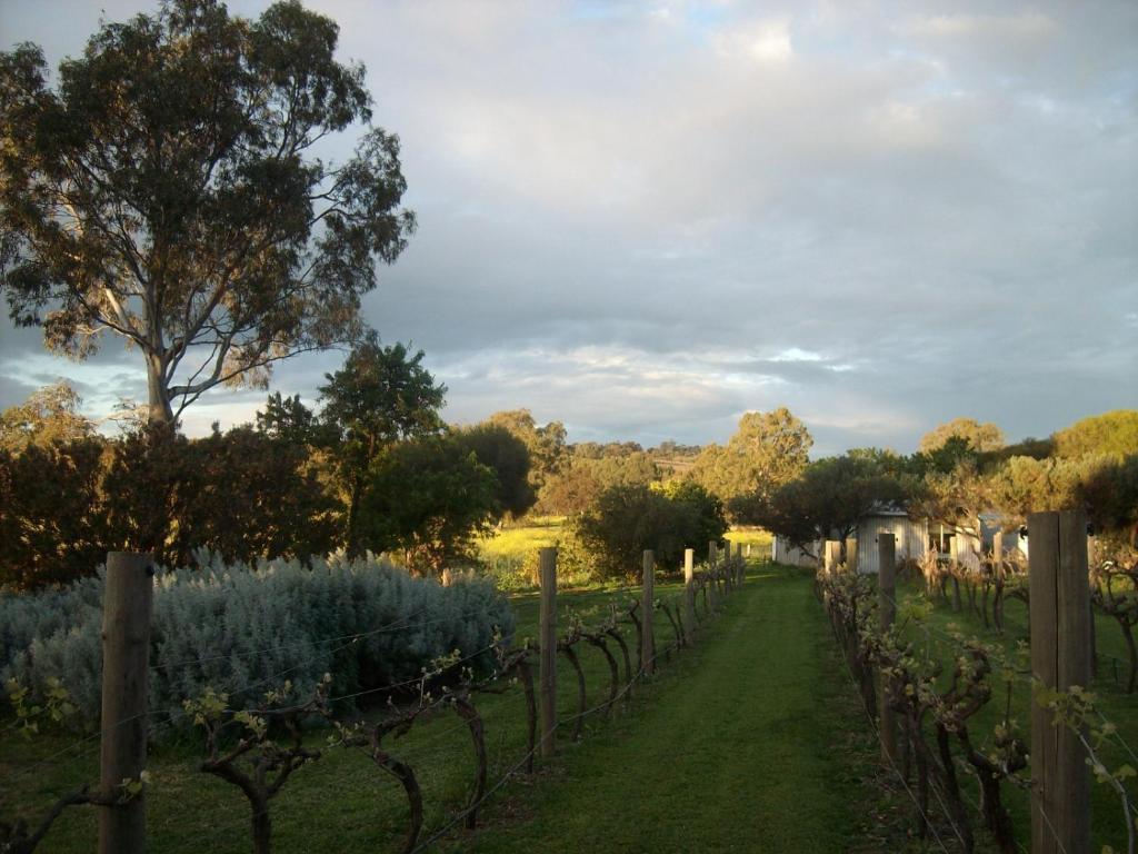 Southern Vales Bed & Breakfast Mclaren Vale Buitenkant foto