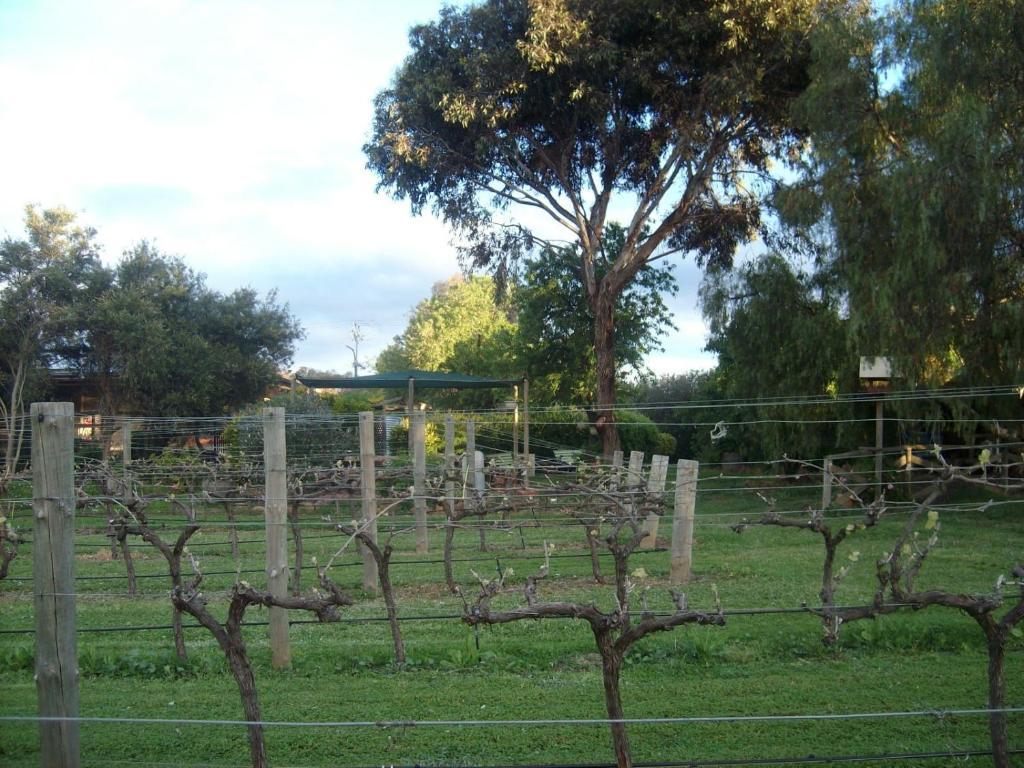 Southern Vales Bed & Breakfast Mclaren Vale Buitenkant foto