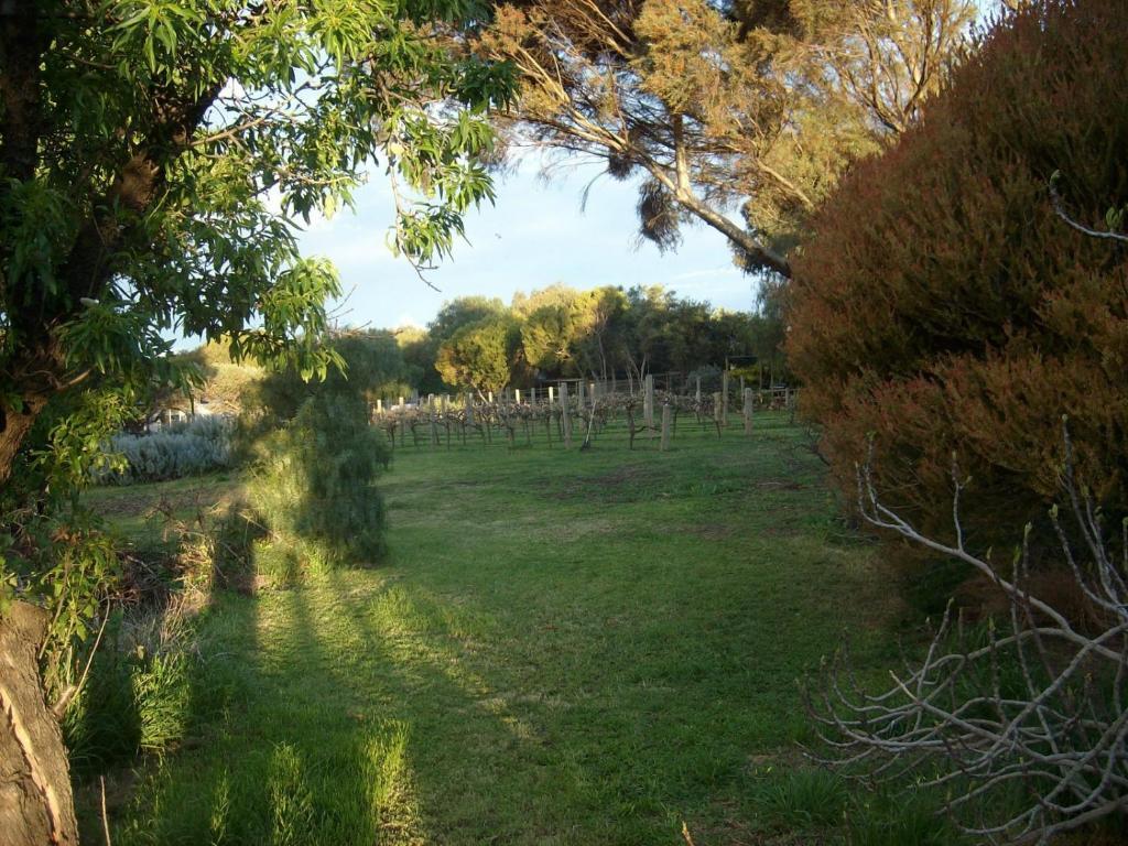 Southern Vales Bed & Breakfast Mclaren Vale Buitenkant foto