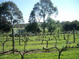 Southern Vales Bed & Breakfast Mclaren Vale Buitenkant foto